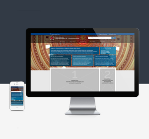 <span>Wisconsin Agency Websites</span><i>→</i>